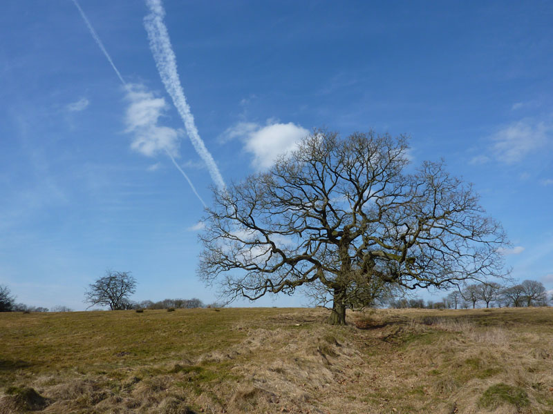 Ribchester Walk View